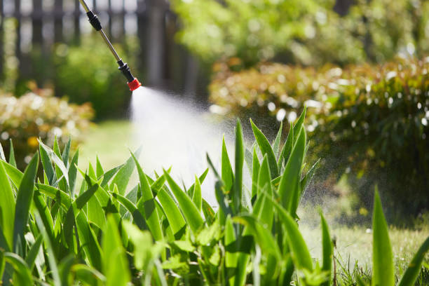 24/7 Emergency Rodent Control experts in La Crosse, WI