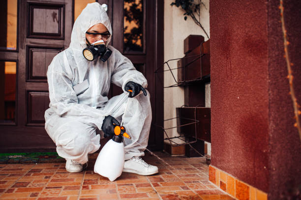 Reliable Rodent Control contractor in La Crosse, WI by Nex Pest Control