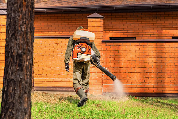Trusted Emergency Pest Control service in La Crosse, WI - Nex Pest Control